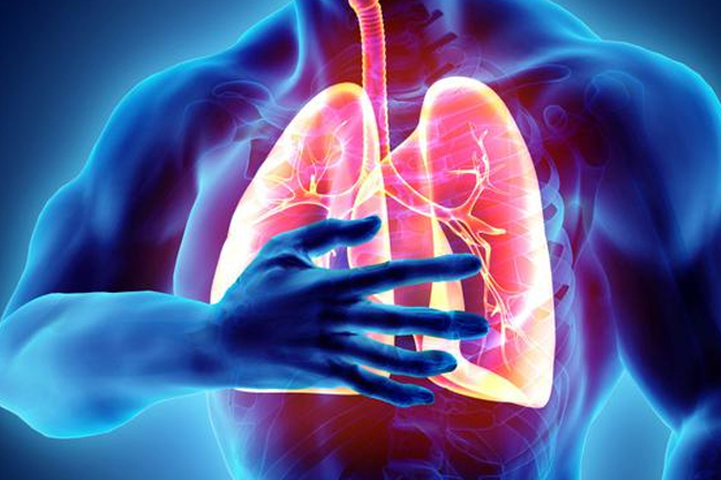 PDPI: Pemerintah Perlu Tingkatkan Edukasi Terkait&nbsp;Asma