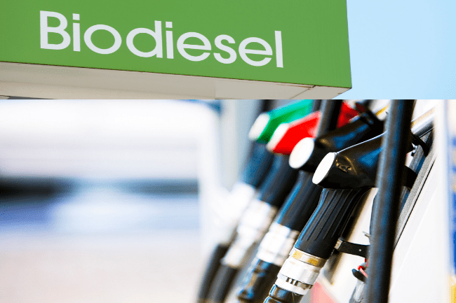 Naik Rp275, Harga Biodiesel jadi Rp12.453/Liter per Mei&nbsp;2024